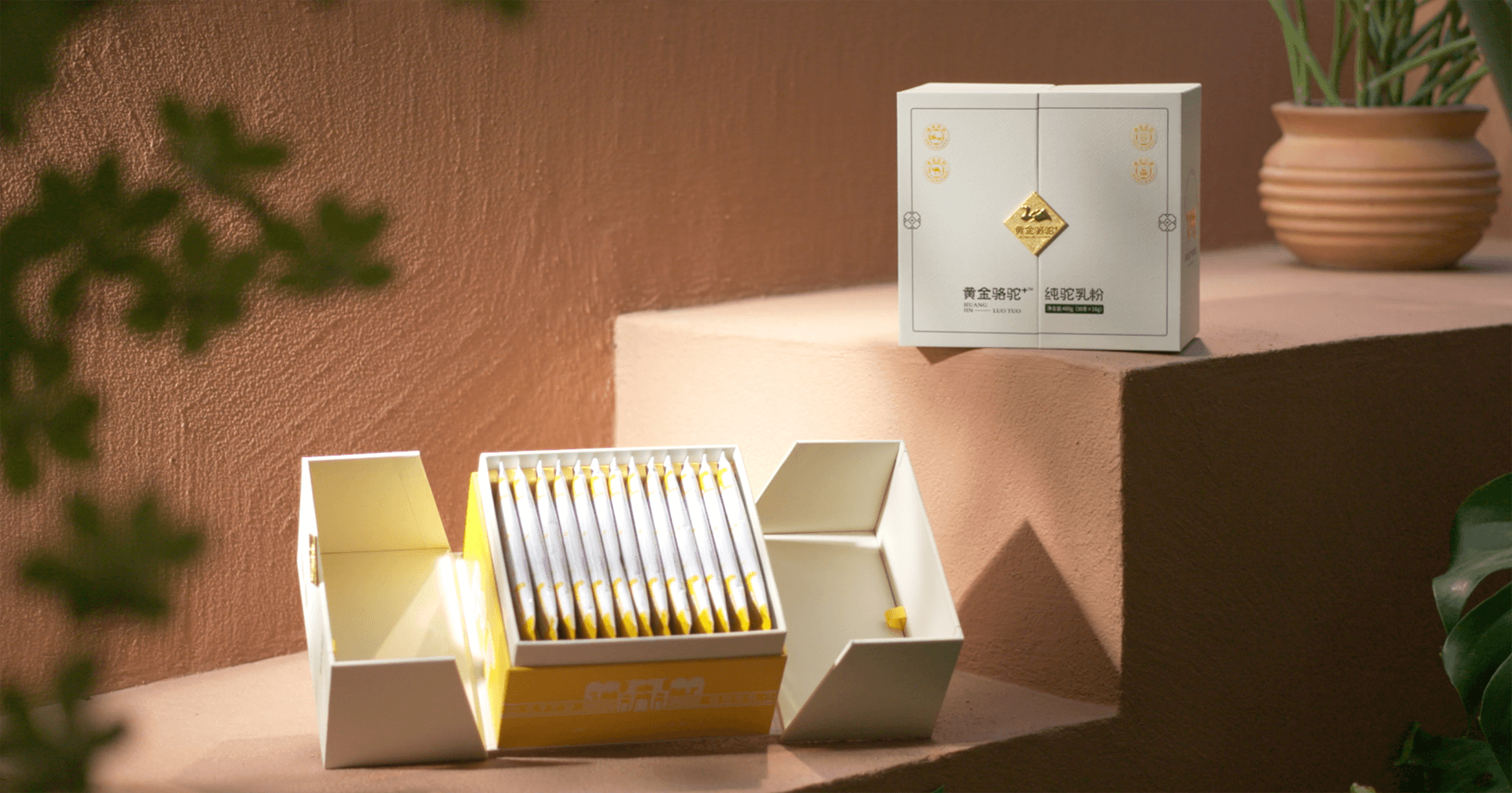定位小众高端乳粉，AG贵宾会推出驼奶品牌“黄金骆驼+”，角逐乳品新市场！
